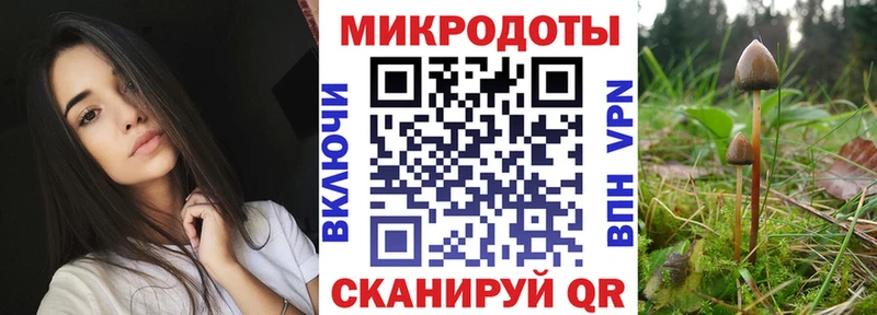 Галлюциногенные грибы Psilocybine cubensis  наркота  Чапаевск 